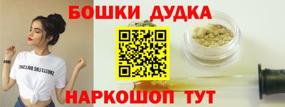 сатива Новозыбков