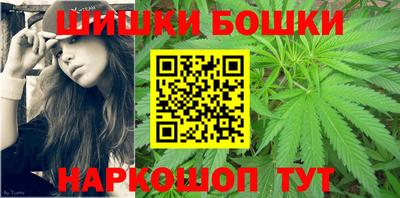 сатива Новозыбков