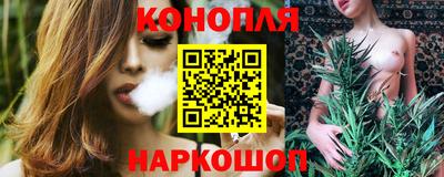 сатива Новозыбков