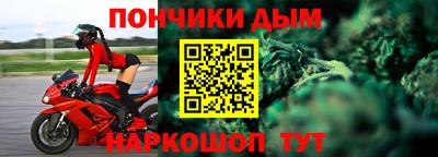 сатива Новозыбков