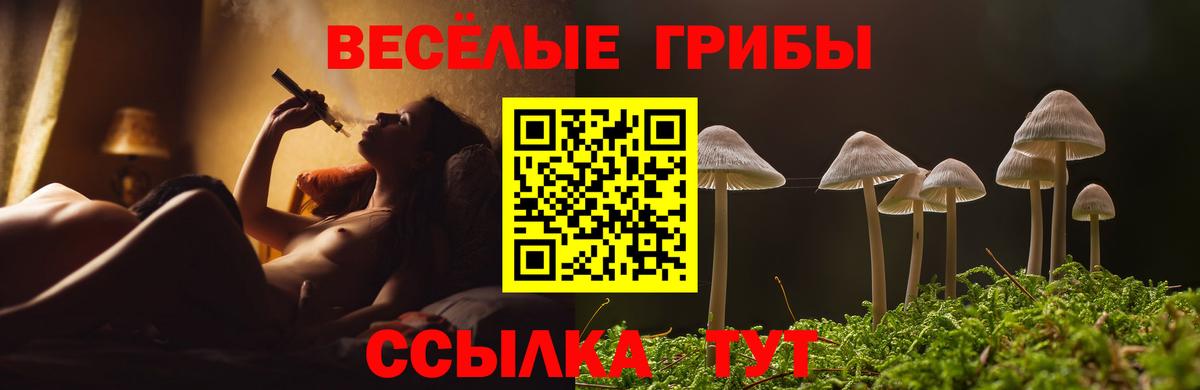Галлюциногенные грибы GOLDEN TEACHER Стрежевой